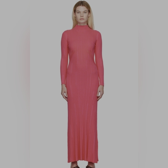 Zara Hot pink long dress - Picture 10 of 10